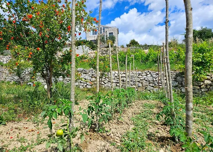 Bepina, Surrounded By Sea, Olive, Vineyard Villa