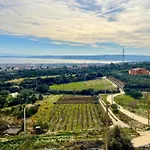 Villa Bepina, Surrounded By Sea, Olive, Vineyard Kaštel Novi