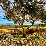 Bepina, Surrounded By Sea, Olive, Vineyard Villa *