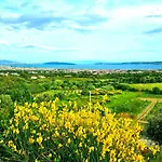 Bepina, Surrounded By Sea, Olive, Vineyard *