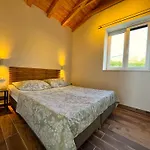Bepina, Surrounded By Sea, Olive, Vineyard Villa *