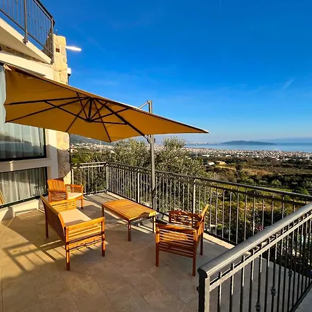 Villa Bepina, Surrounded By Sea, Olive, Vineyard Kastel Novi