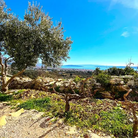 Villa Bepina, Surrounded By Sea, Olive, Vineyard *