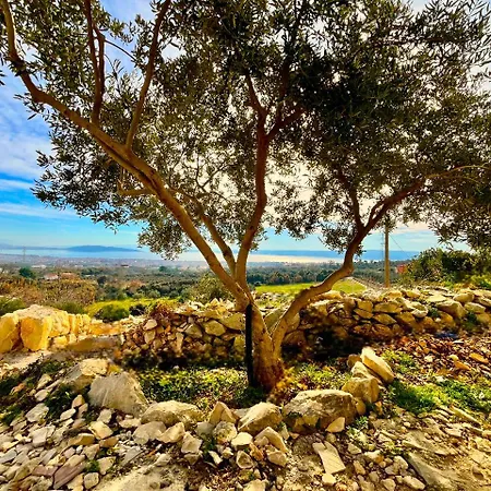 Bepina, Surrounded By Sea, Olive, Vineyard Villa *