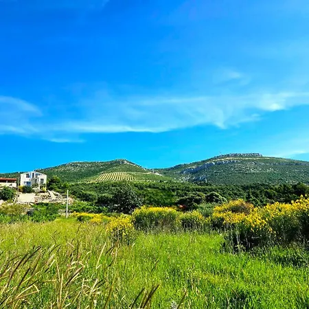 Bepina, Surrounded By Sea, Olive, Vineyard Kastel Novi