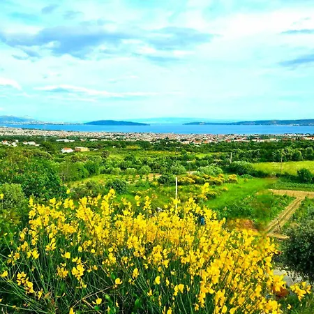 Bepina, Surrounded By Sea, Olive, Vineyard *