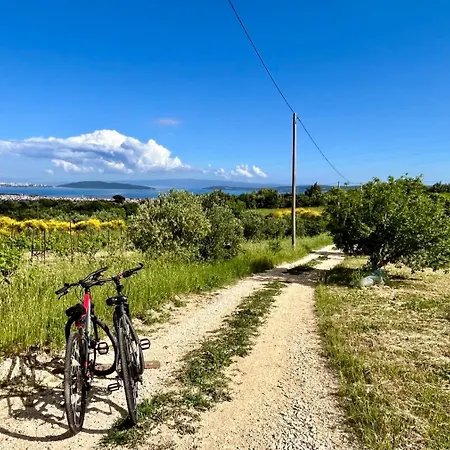 Bepina, Surrounded By Sea, Olive, Vineyard Villa